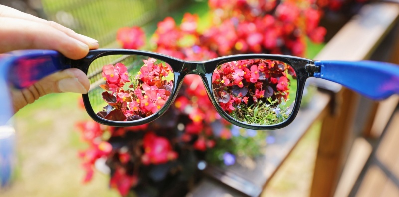 A pair of glasses showing clear vision through the lenses while the rest of the background around the glasses remains blurred.